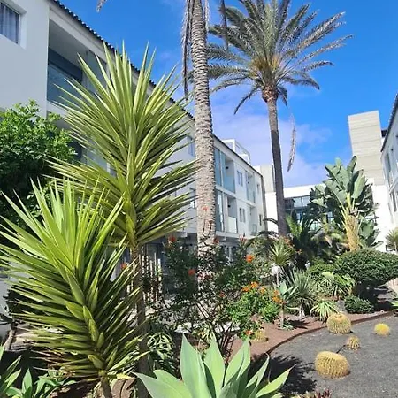 & Wave * 코라레호