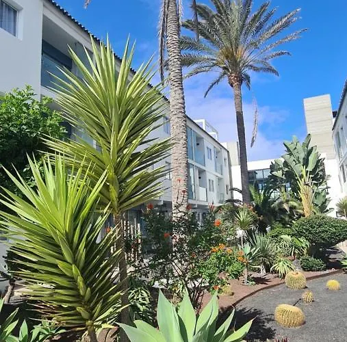 & Wave * 코라레호